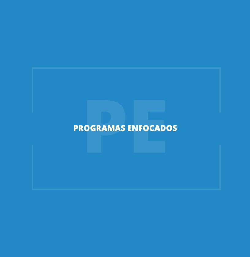 Programas Enfocados