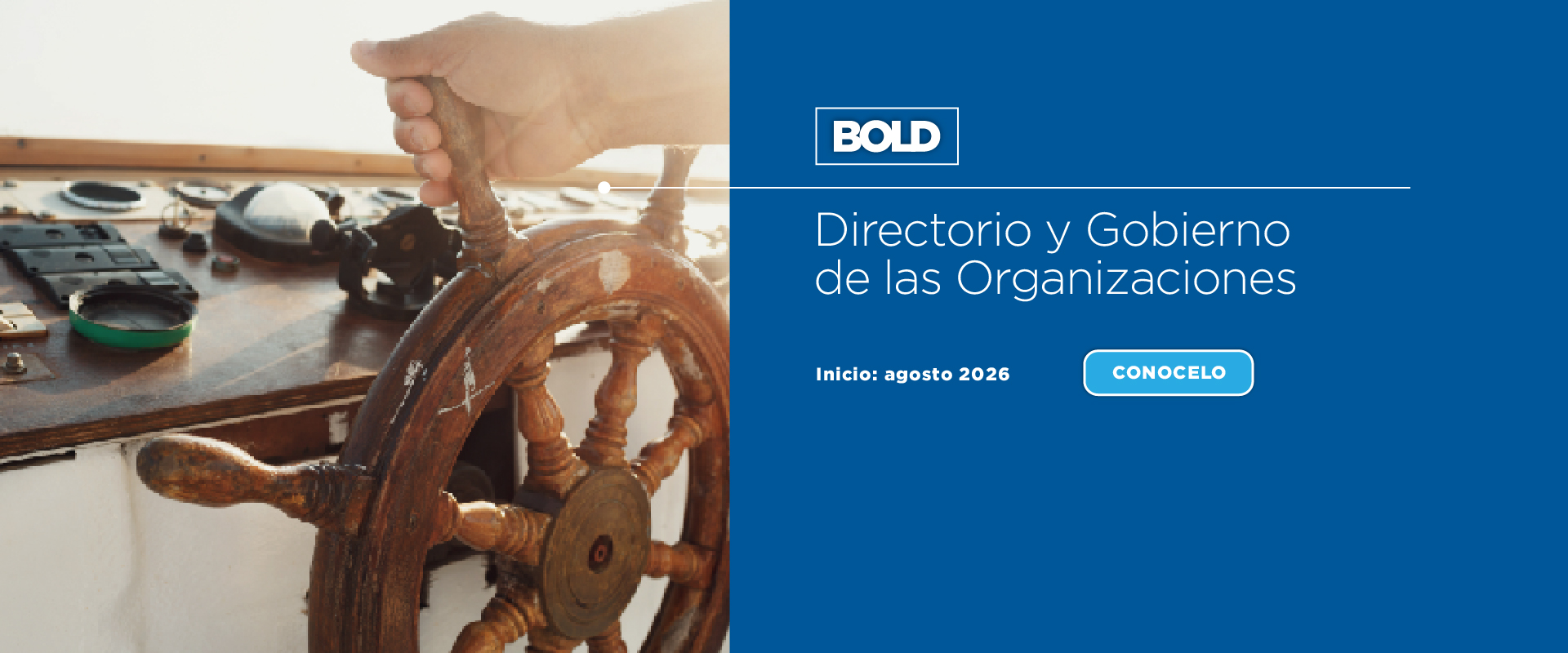 Programa BOLD
